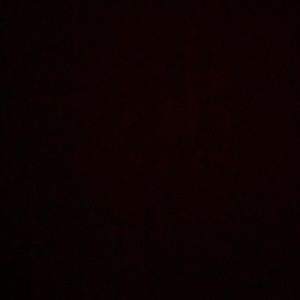 Meet your Posher, Natasha